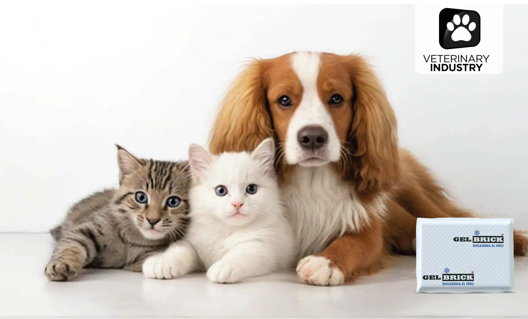 Banner-IndustriaVeterinaria